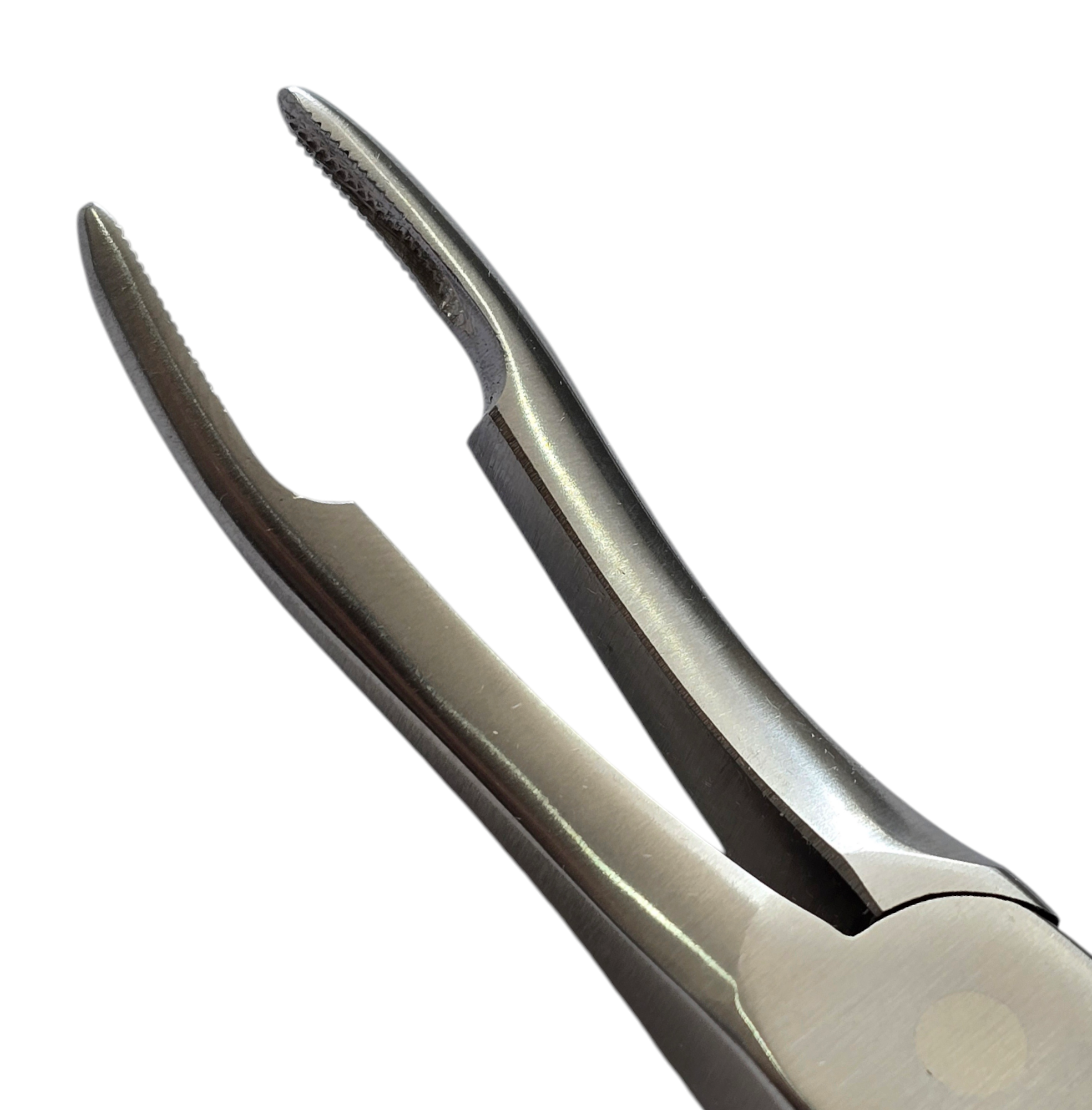 FORCEPS  PARA RAIZ N 049 CLINIC